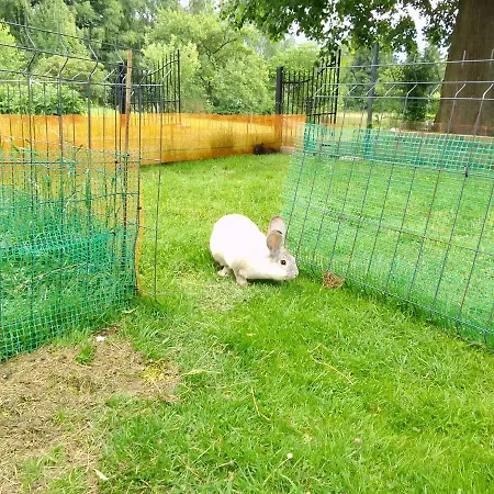 Szalas Z Jacuzzi, Blisko Swieradow Zdroj I Zamek Czocha Glamping *