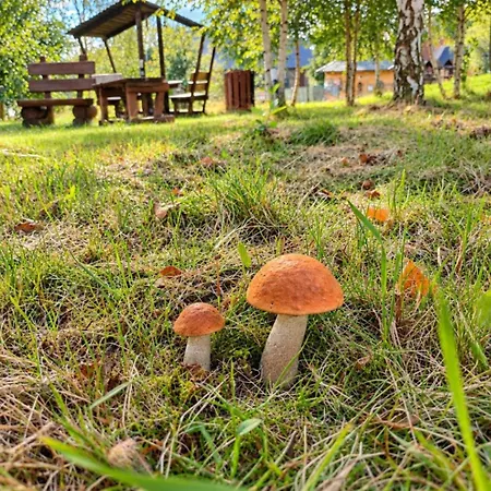 Szalas Blisko Swieradow Zdroj I Zamek Czocha, Jacuzzi 60zl Pierwsza Doba, Kolejna 30zl