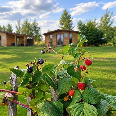Szalas Blisko Swieradow Zdroj I Zamek Czocha, Jacuzzi 60zl Pierwsza Doba, Kolejna 30zl